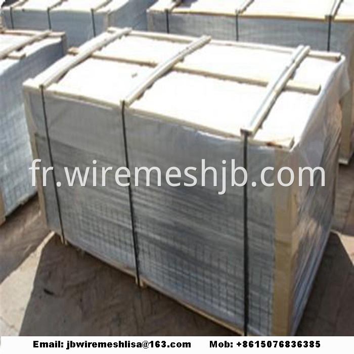 Hot-dip Galvanized Welded Wire Mesh Panel